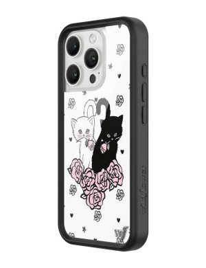 Kittens iPhone Case